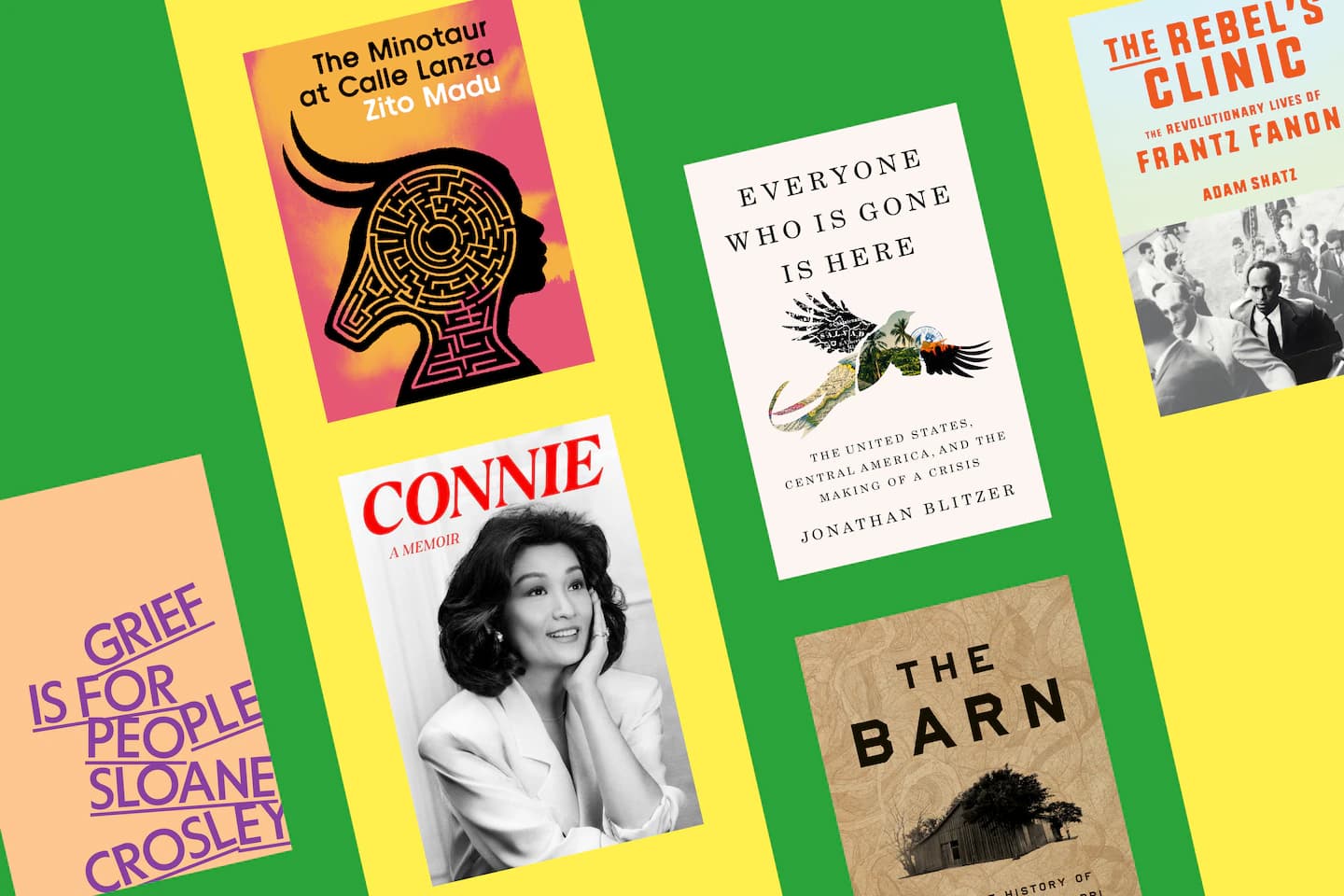 Named a Notable Book by the Washington Post